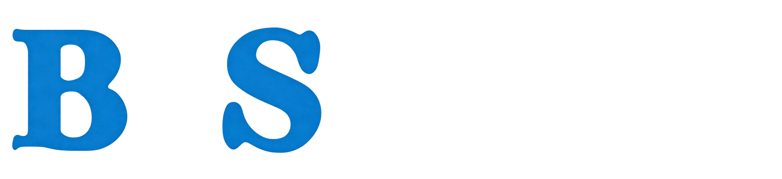 Baoshuo Pipe Fittings